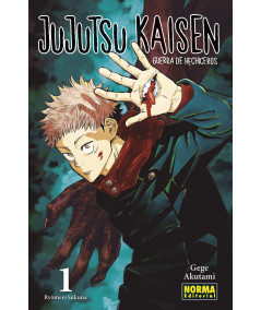 JUJUTSU KAISEN 01 Comic y Manga