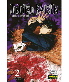JUJUTSU KAISEN 02 Comic y Manga
