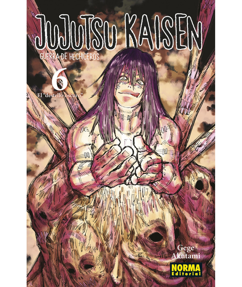 JUJUTSU KAISEN 6 Comic y Manga