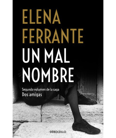 UN MAL NOMBRE. Elena Ferrante Fondo General